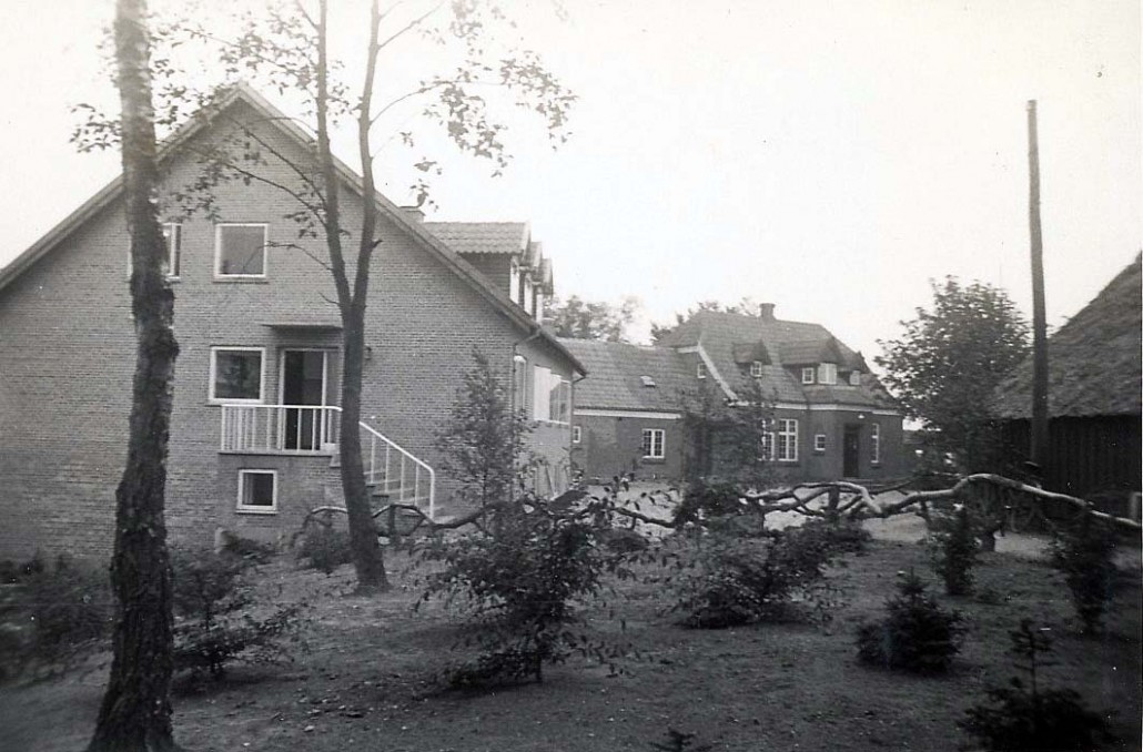 B bygninger, træer, planter (2)
